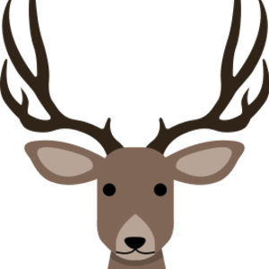 WinstonWapiti's avatar